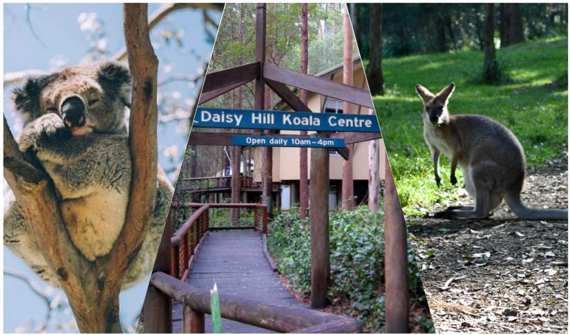 Daisy Hill Conservation Park