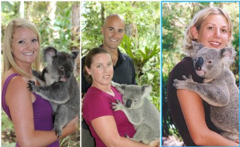 Koalas in Lone Pine